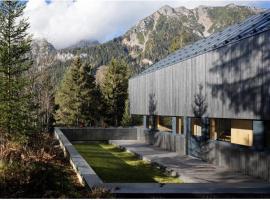 Chalet Dachstein，位于拉姆绍达赫斯坦的酒店