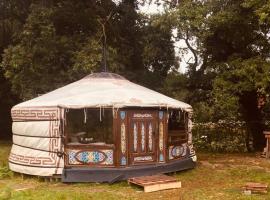 Mongolian yurt sleeping 2+2 with outdoor space，位于Llanbrynmair的公寓