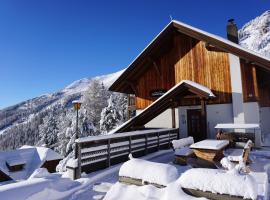 Bergheim Schmidt, Almhütten im Wald Appartments an der Piste Alpine Huts in Forrest Appartments near Slope，位于图拉彻霍赫的酒店