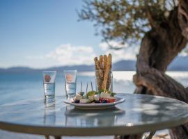 A Luxury Seafront Villa with amazing ambience and view，位于Alyfantá的酒店