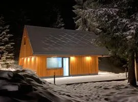 Brunarica Chalet Rogla Sauna