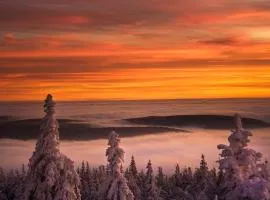 Ferienwohnung im Chaletstil Sonnenidyll 51 qm Wellness Fitness Sauna Bergrödelhof