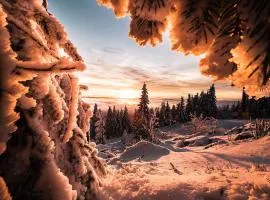 Ferienwohnung im Chaletstil Ährenglück 70 qm Wellness Fitness Sauna Bergrödelhof