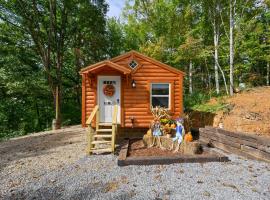 Cozy Cabins of Cosby，位于科斯比的山林小屋