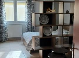 C & D Karlovasi apartment，位于卡罗维西的家庭/亲子酒店