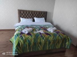 Rustavi guest house，位于鲁斯塔维的酒店