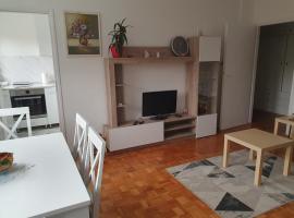 AS Apartment，位于Tošin Bunar的酒店
