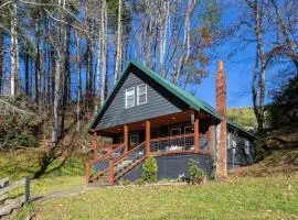 Hidden Cabin on Old Field Creek