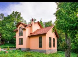 Dilijan Dream House! 3 Bedroom Amazing Villa in National Park!，位于迪利然的酒店