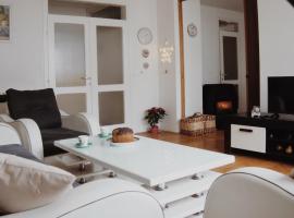 Apartman Miškec，位于库普雷斯的酒店