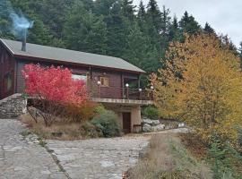 Rados chalet，位于R&aacute;dhos的木屋