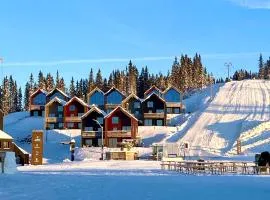 New ski in-out apartment with sauna in Hafjell