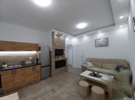 Apartmani Sofronic Loznica 1，位于洛兹尼察的酒店