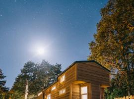 Umpqua's Last Resort - Wilderness Cabins, RV Park & Glamping，位于Idleyld Park的露营地