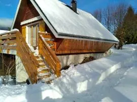 Chalet charmant à Autrans, 50 m², proximité montagnes et jardin
