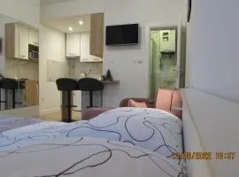 Studio apartman Oboj Maksimir self check in