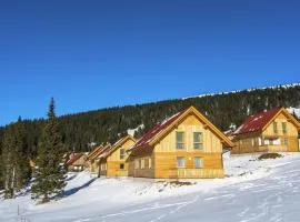 Chalet in Kärnten mit Sauna nahe Skipisten