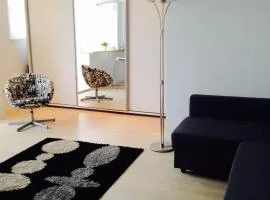 舒适一室公寓 - 弗洛雷斯卡/多罗班蒂 - 布加勒斯特