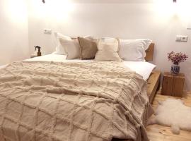 Cabana Wonderland，位于Păuliş的木屋