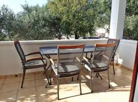 Apartment in Starigrad-Paklenica 43216