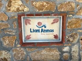 Liani Ammos，位于阿莫利亚尼岛的酒店