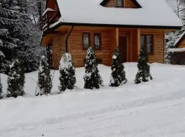 U Eskulapa Bieszczady