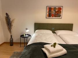 Comfort 1 and 2BDR Apartment close to Zurich Airport，位于苏黎世的酒店