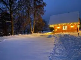Poleskie zacisze, domek czapla na wyłączność, kominek, balia,sauna