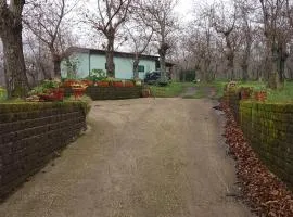 Chalet immerso nel Bosco