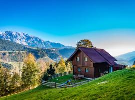 Ahornhütte，位于斯拉德明的乡村别墅