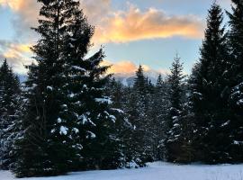 Maiers Hotel，位于拜尔里舍艾森施泰恩的酒店