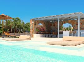 The Nine Graces - Kastraki Villas with Private Swimming Pool，位于纳克索斯岛卡斯特拉基的酒店