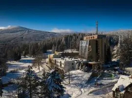 伯尔尼特因特费斯波特大酒店