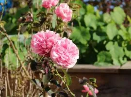 Ferienwohnung Pickl - Anna-Maria Pickl