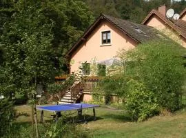 Holiday Home in Vosges Nature Park