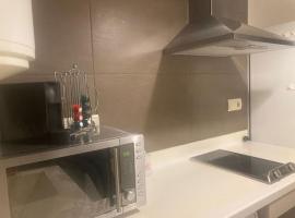 Magnífico Apartamento en el Centro de Puigcerdá，位于普奇塞达的酒店