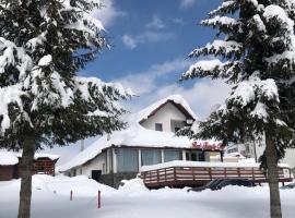 Red Family Apartments，位于珀尔蒂尼什的滑雪度假村