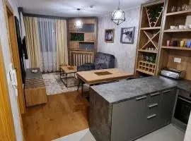 Apartman Ristić