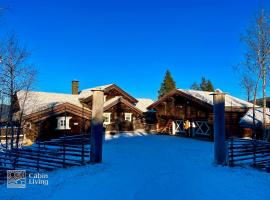 Large cabin on Nesfjellet pure luxury feeling，位于Nes的度假屋