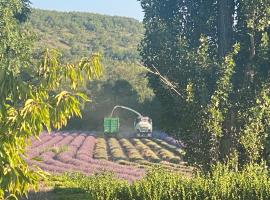 Gîte Le Tramontane Meublé de tourisme 4 étoiles Le Moulin de Prédelles，位于Reillanne的酒店