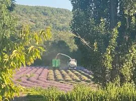 Gîte Le Tramontane Meublé de tourisme 4 étoiles Le Moulin de Prédelles