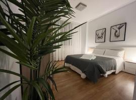 Apartamento San Vicente de la Sonsierra Confort，位于圣比森特德拉松谢拉的酒店