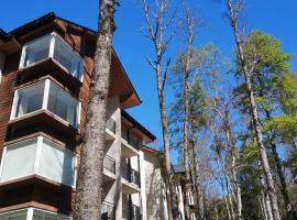 Depto en condo Pucon Andino