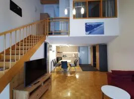 Apartment Bergführer