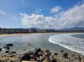 Depto frente al mar en Los Molles，位于罗斯摩斯的酒店