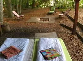 Schwedischer Shelter unter Buchen