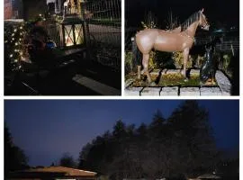 Ferienhaus auf dem Lusitanohof Jäger