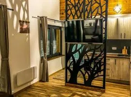 Vila Bašić Vlašić Apartman VUK