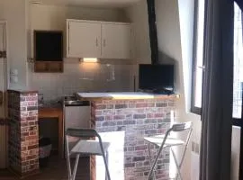 Appartement en duplex situé à la limite TOURS