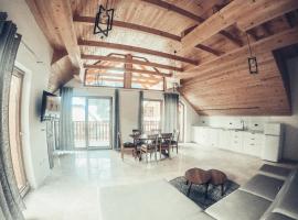 ALPS Apartments，位于克拉尼斯卡戈拉的滑雪度假村